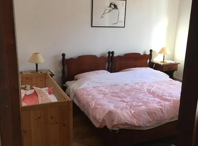 App Rojko *